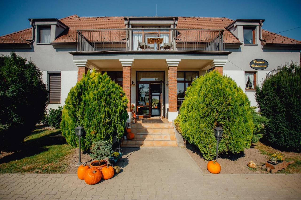 Penzion Platan Dunajská Streda Esterno foto